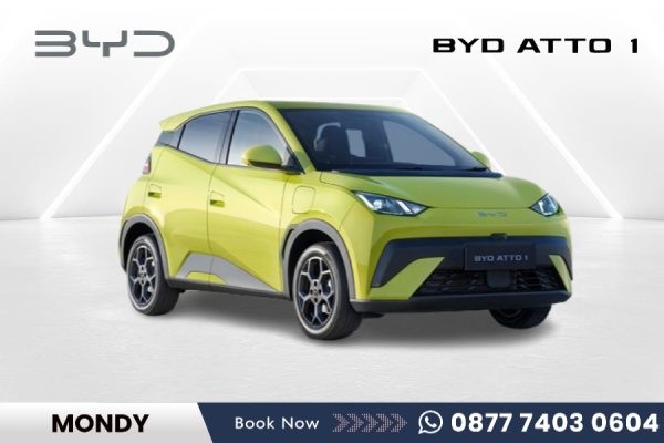 BYD ATTO 1