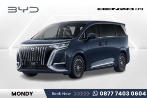 BYD DENZA D9