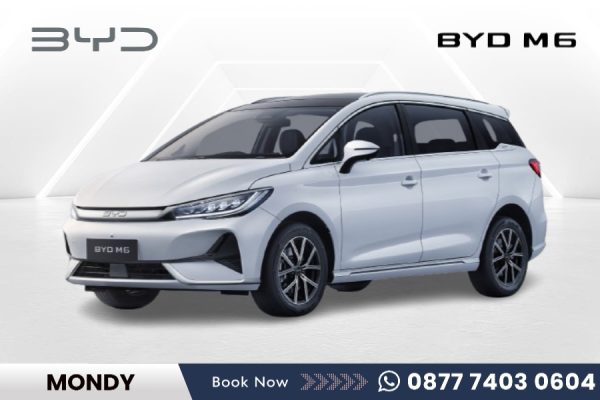 BYD M6